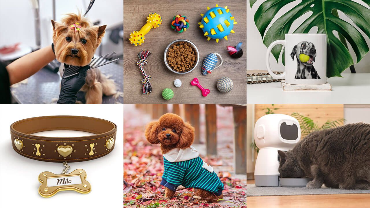 Pet business concepts